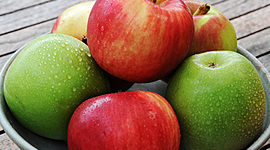 Timeline: Από τον σπόρο στον καρπό