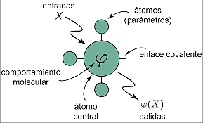 Estructura de la molécula