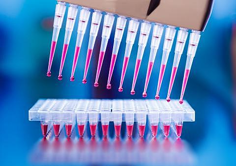 Desarrollo de la técnica de la reacción en cadena de polimerasa