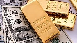 Termina sistema de partida fija del dólar-oro