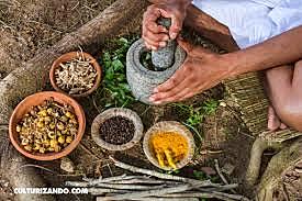 medicina ayurvedica