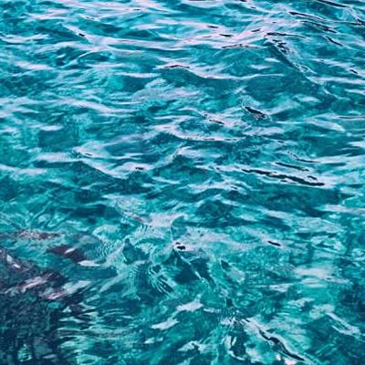 Timeline: El origen del agua en la tierra