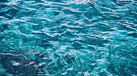 Timeline: El origen del agua en la tierra