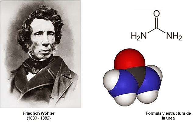 LA SÍNTESIS DE LA UREA