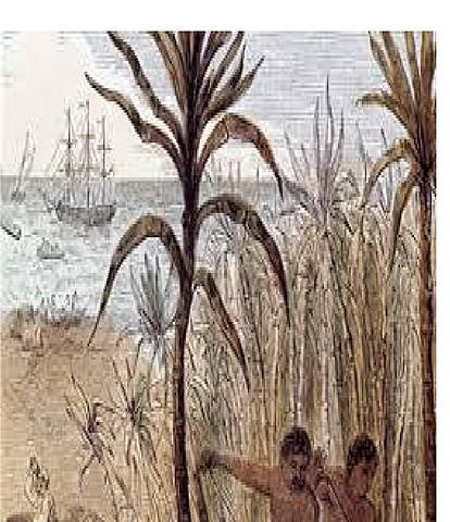 INDEPENDENCIA USA: Creación de numerosas leyes impositivas