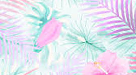 Timeline: EVOLUCIÓN DE LAS TICS