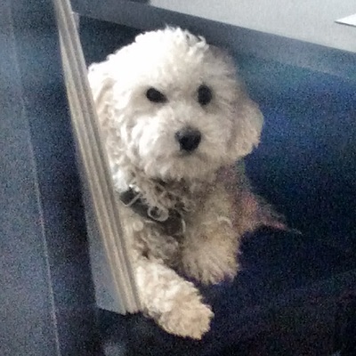 Timeline: Redes Sociales