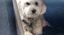 Timeline: Redes Sociales