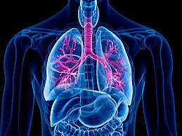 TRATAMIENTO FIBROSIS QUISTICA