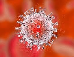 SECUENCIACION DEL GENOMA VIH-1