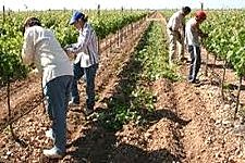 Programa de Inversiones Públicas para el Desarrollo Rural