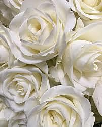 Sister gets married.