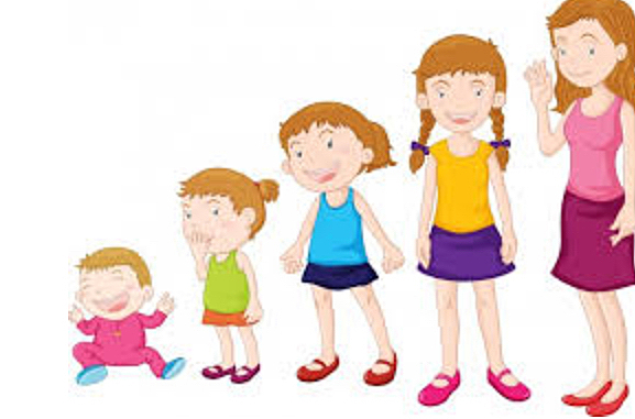 Edad Moderna 1492 -1789