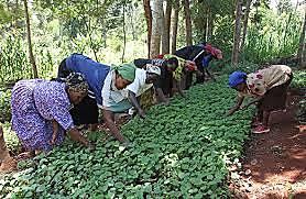 Declaración del día de la mujer trabajadora