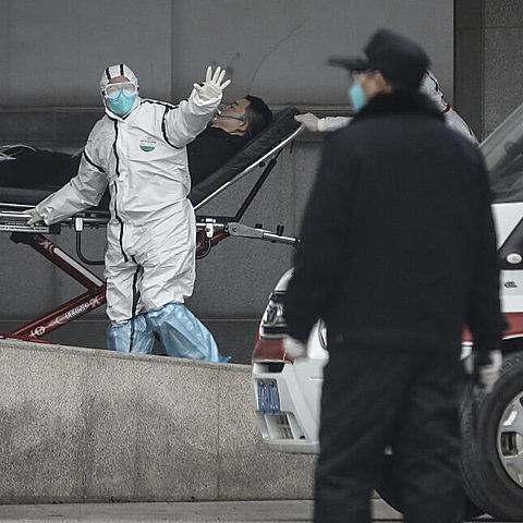 Virus Knowledge: Human to Human Transmission Confirmed