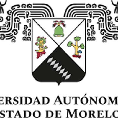 Timeline: historia de la world wide web