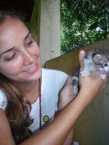 A pessoa solteria, brincava com o gatinho que lhe apareceu.