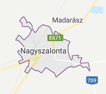 Született: Nagyszalontán