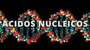 Acidos nucleicos