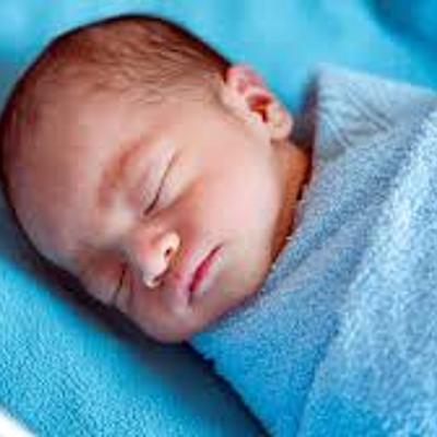 Timeline: Pregnancy Timeline