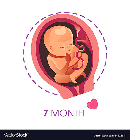 Month 7