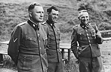 Law for the Prevention of Hereditary Diseases