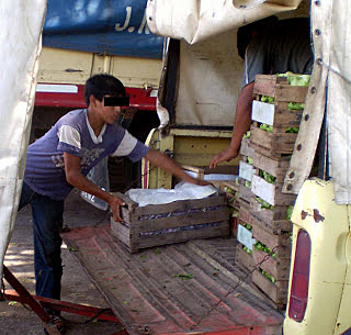 Crisis económica de mis padres