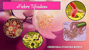 Medicina Tradicional China en  siglos XIV y XVII