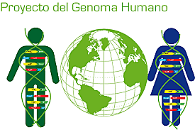 Primeras secuencias del genoma humano por parte del Proyecto Genoma Humano y Celera Genomics