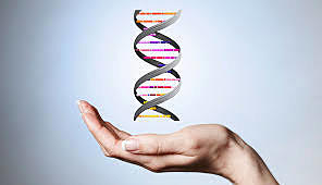 Oswald Avery, Maclyn McCarty and Colin MacLeod- Aíslan ADN como material genético4.