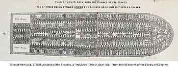 Congress bans the importation of slaves from Africa.