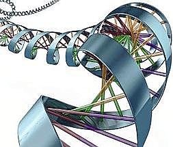 Se termina el Proyecto Piloto Encode