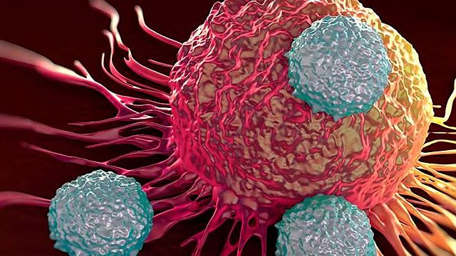 Se secuencia por primera vez el genoma del cáncer