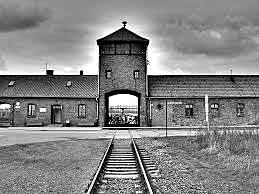 Elie Arrives In Auschwitz