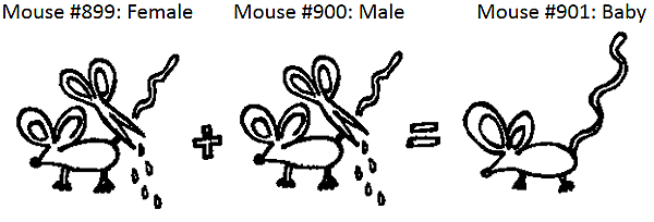 Teoría del plasma germinal, August Weismann.