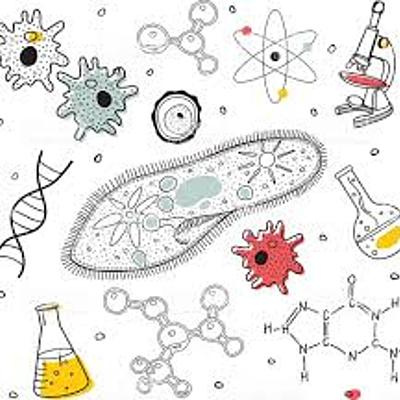 Timeline: Historia de la biología