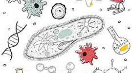 Timeline: Historia de la biología