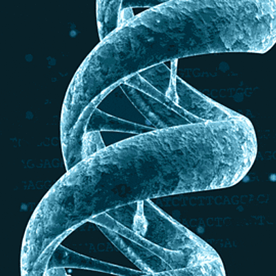 Timeline: La historia de la genética