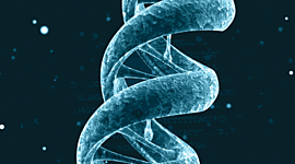 Timeline: La historia de la genética