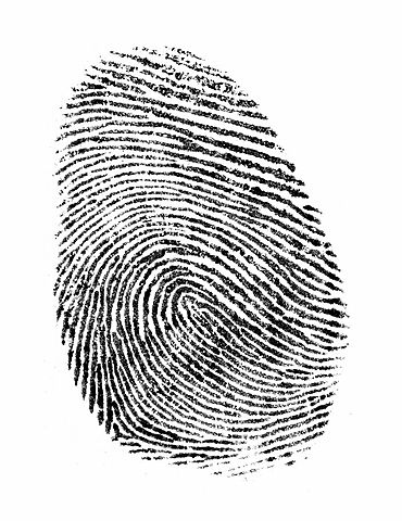 Fingerprint Identity
