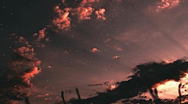 Timeline: Evolución del Comercio Electrónico