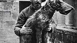 Timeline: Primera Guerra Mundial