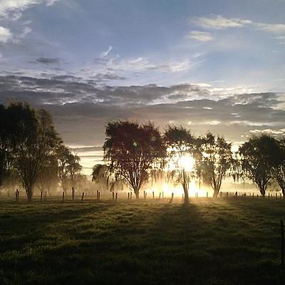 Timeline: Estudio de los materiales