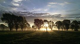 Timeline: Estudio de los materiales