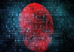 Thorp (2010) advierte