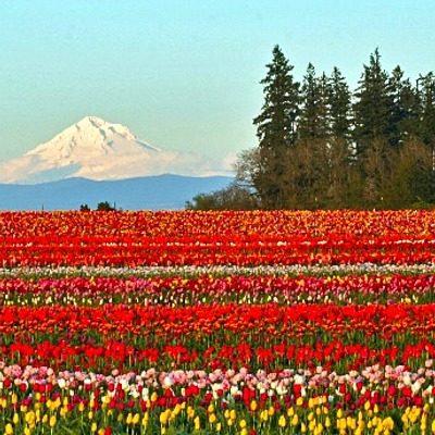 Timeline: Autobiography