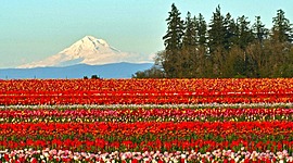 Timeline: Autobiography