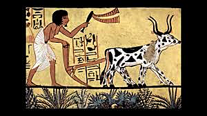 Surgimiento del Mercantilismo