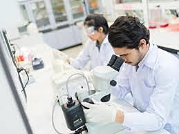 NOVEDADES CIENTIFICAS