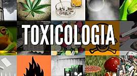 Timeline: LINEA DE TIEMPO DE LA TOXICOLOGIA